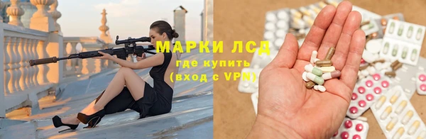 индика Алзамай
