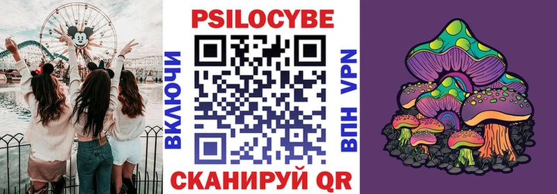 что такое наркотик  блэк спрут зеркало  маркетплейс состав  Нолинск  Галлюциногенные грибы Psilocybe 